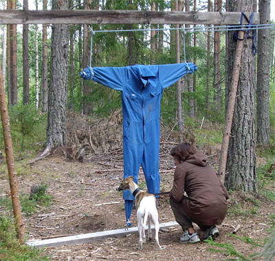Överraskningsmomentet